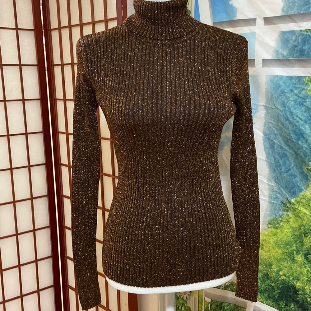 2/$20)Beautiful Joseph Turtleneck sweater !